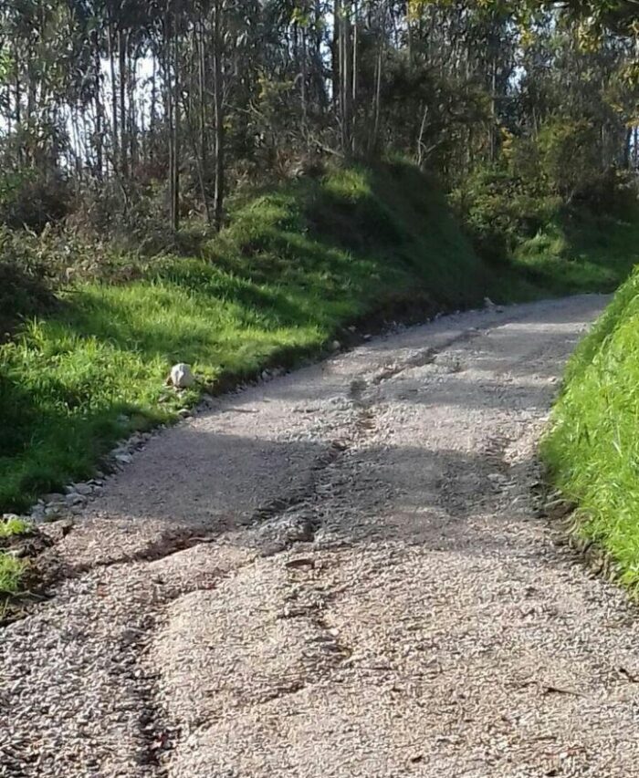 photo_2018-04-18_18-01-24-R